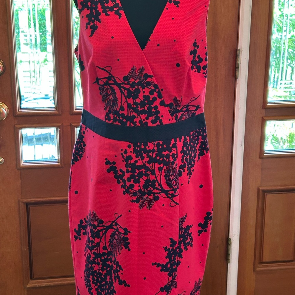 Elegant Cherry Red and Midnight Blue Floral Dress